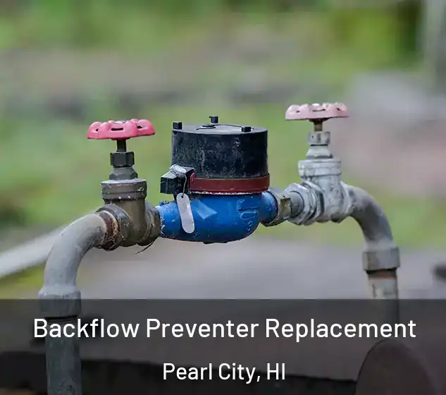  Backflow Preventer Replacement Pearl City, HI