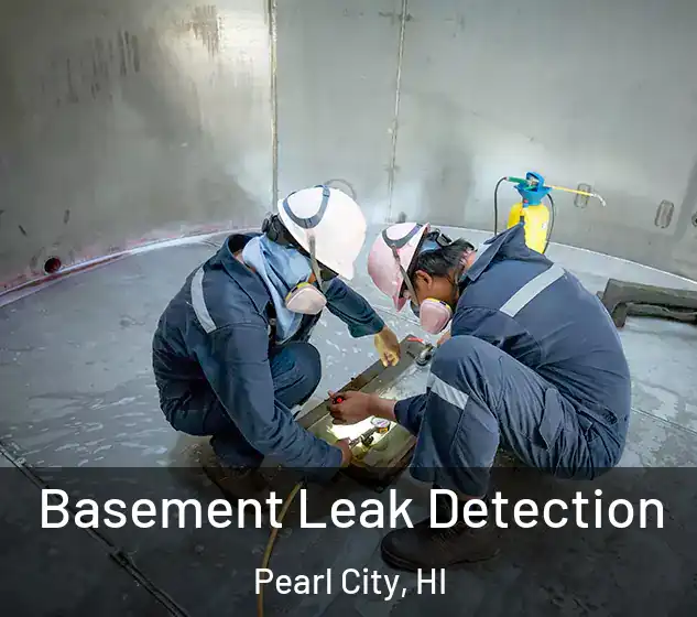 Basement Leak Detection Pearl City, HI