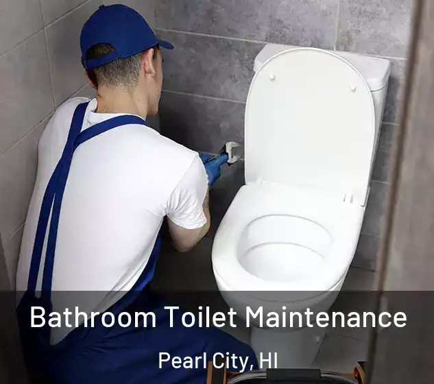  Bathroom Toilet Maintenance Pearl City, HI