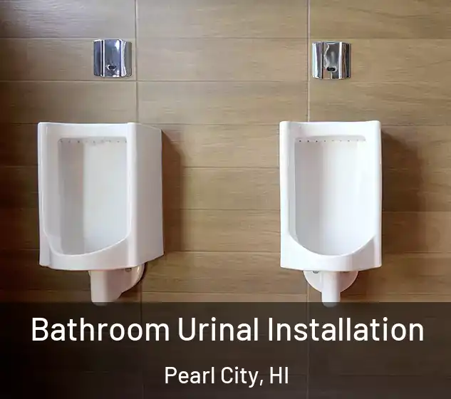  Bathroom Urinal Installation Pearl City, HI