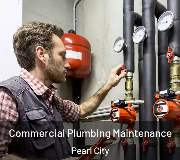  Commercial Plumbing Maintenance Pearl City