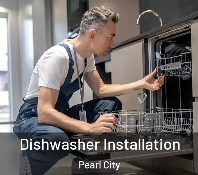  Dishwasher Installation Pearl City