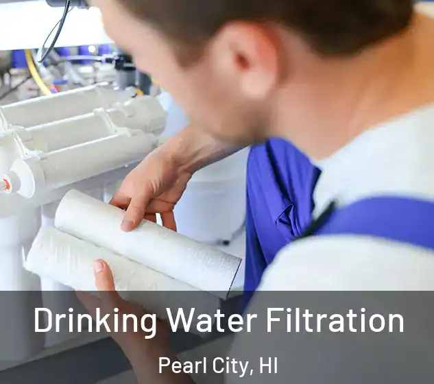  Drinking Water Filtration Pearl City, HI