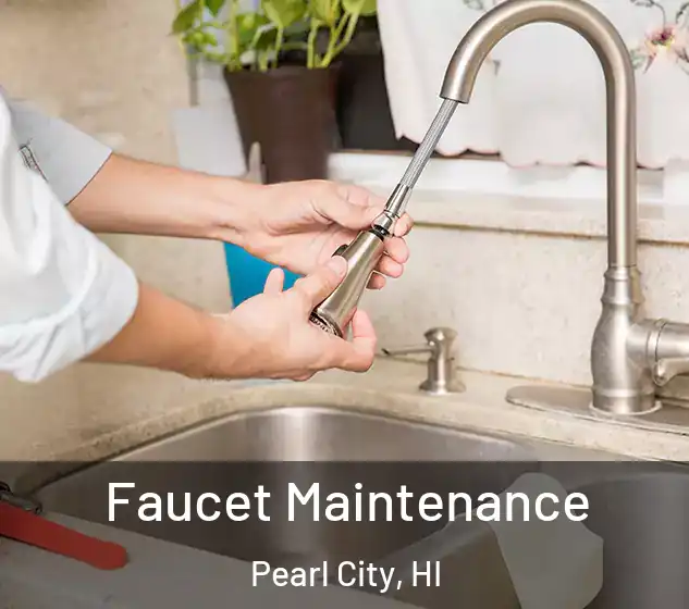  Faucet Maintenance Pearl City, HI