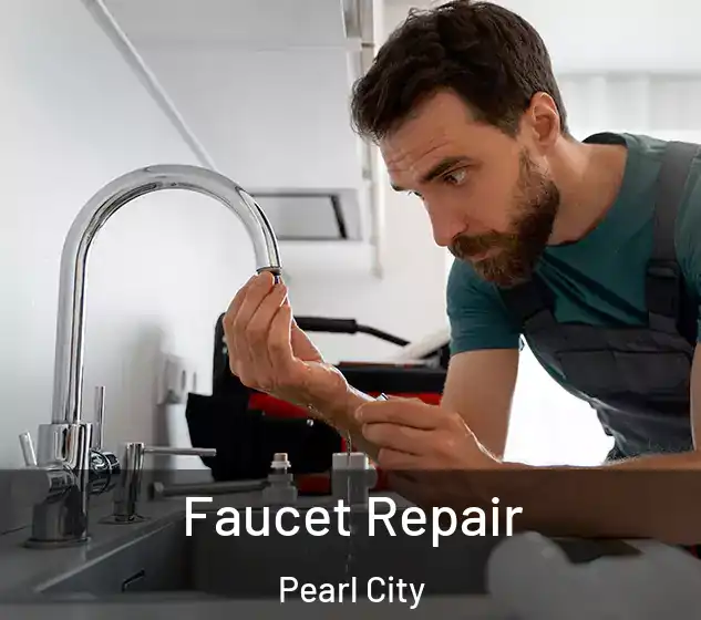  Faucet Repair Pearl City