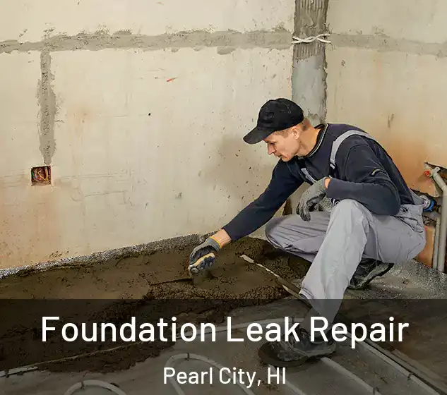  Foundation Leak Repair Pearl City, HI