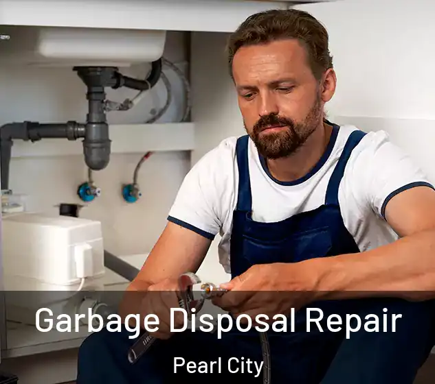  Garbage Disposal Repair Pearl City