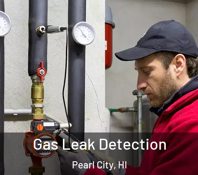  Gas Leak Detection Pearl City, HI