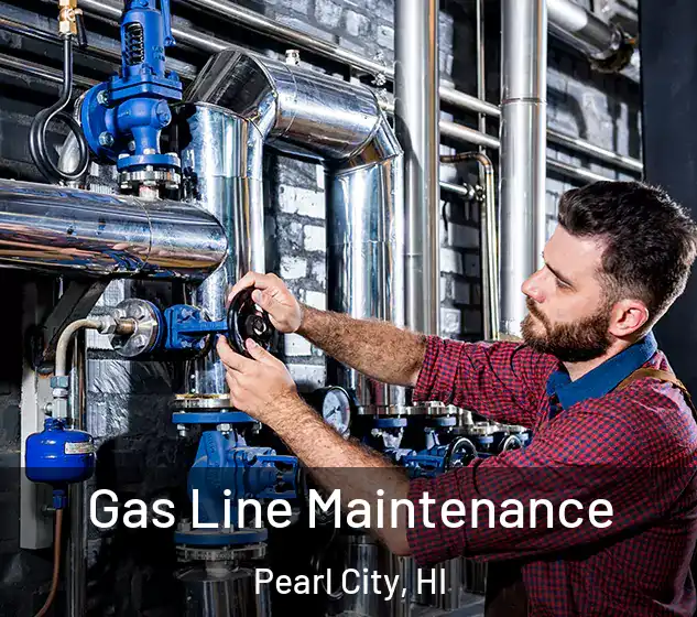  Gas Line Maintenance Pearl City, HI