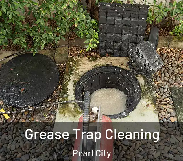  Grease Trap Cleaning Pearl City