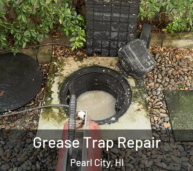  Grease Trap Repair Pearl City, HI