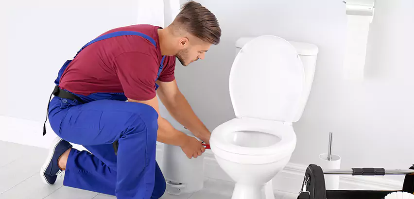 Scope of Bathroom Toilet Bowl Replacement Services in Pearl City, HI