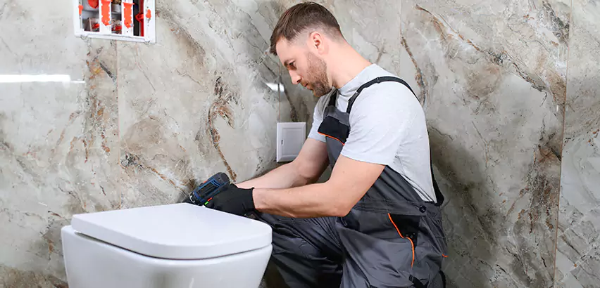 Scope of Bathroom Toilet Replacement Services in Pearl City, HI