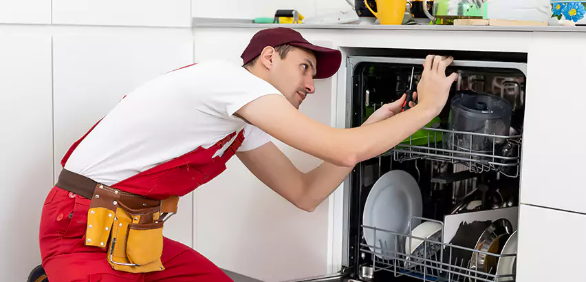 Scope of Kitchen Dishwasher Installation Services in Pearl City, HI