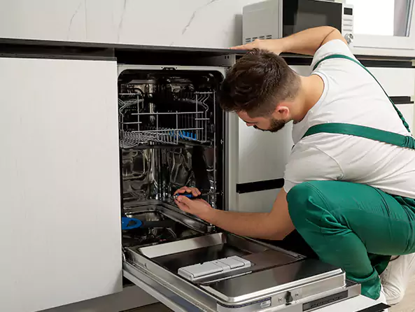 Why Pearl City Plumbing is the First Choice for Kitchen Dishwasher Installation Services in Pearl City, HI?
