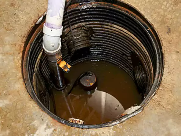 Why Pearl City Plumbing is the First Choice for Sewage Ejector Pump Maintenance Services in Pearl City, HI?