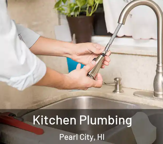  Kitchen Plumbing Pearl City, HI