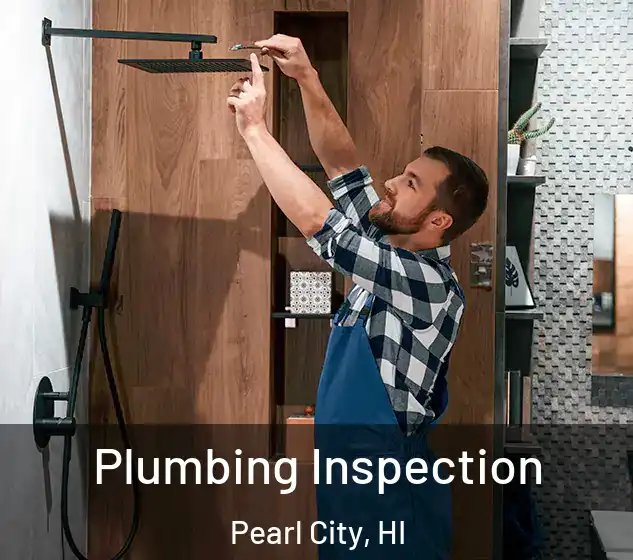  Plumbing Inspection Pearl City, HI