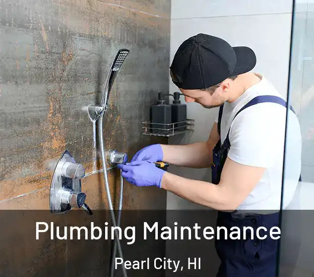  Plumbing Maintenance Pearl City, HI