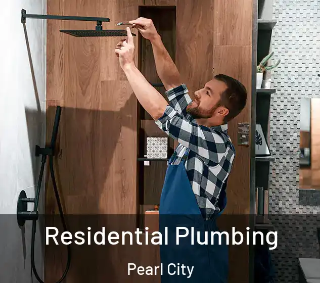  Residential Plumbing Pearl City