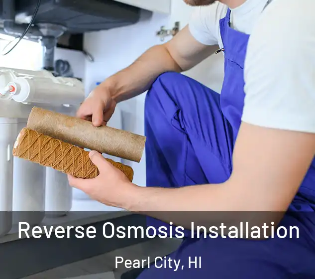  Reverse Osmosis Installation Pearl City, HI
