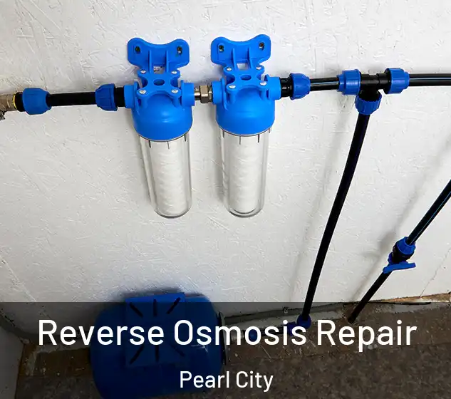  Reverse Osmosis Repair Pearl City