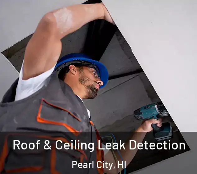  Roof & Ceiling Leak Detection Pearl City, HI