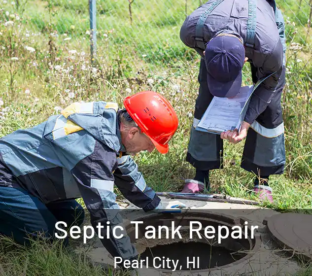  Septic Tank Repair Pearl City, HI