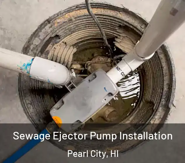  Sewage Ejector Pump Installation Pearl City, HI