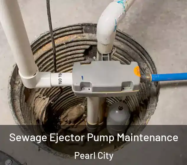  Sewage Ejector Pump Maintenance Pearl City