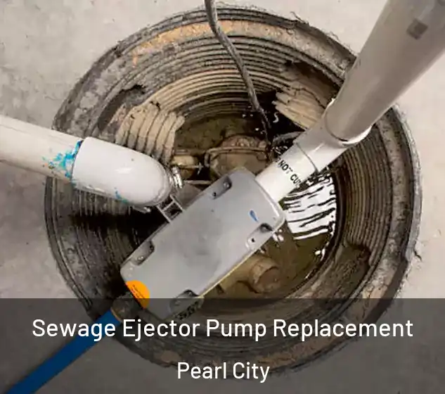  Sewage Ejector Pump Replacement Pearl City