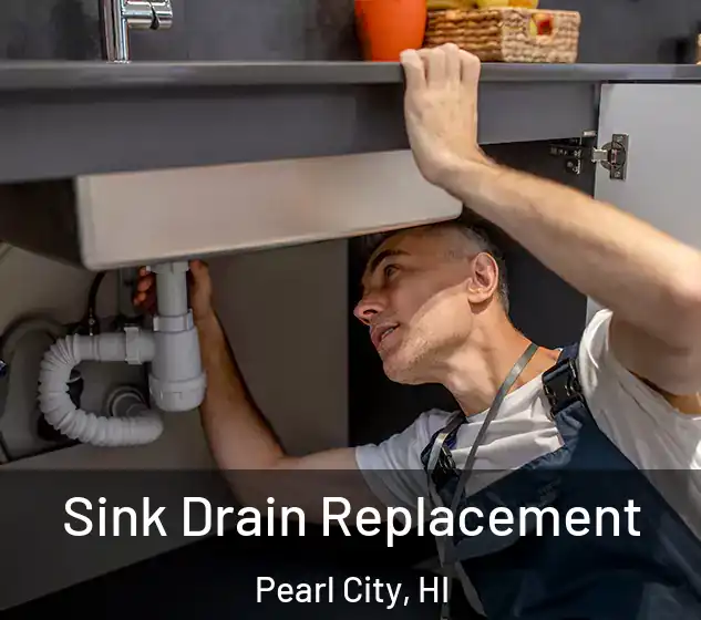  Sink Drain Replacement Pearl City, HI