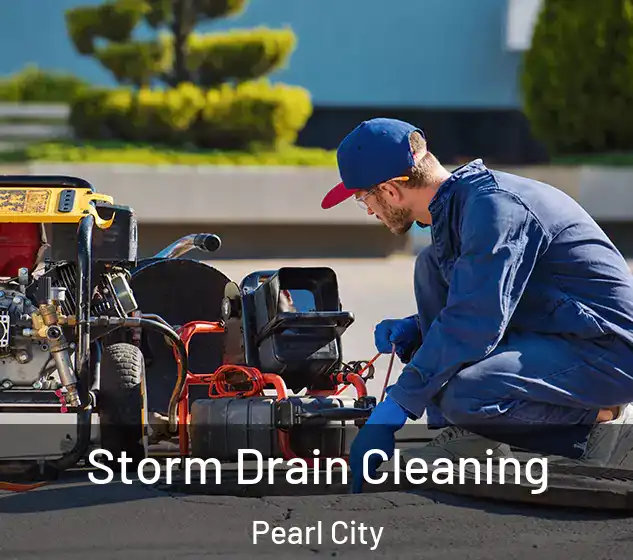  Storm Drain Cleaning Pearl City
