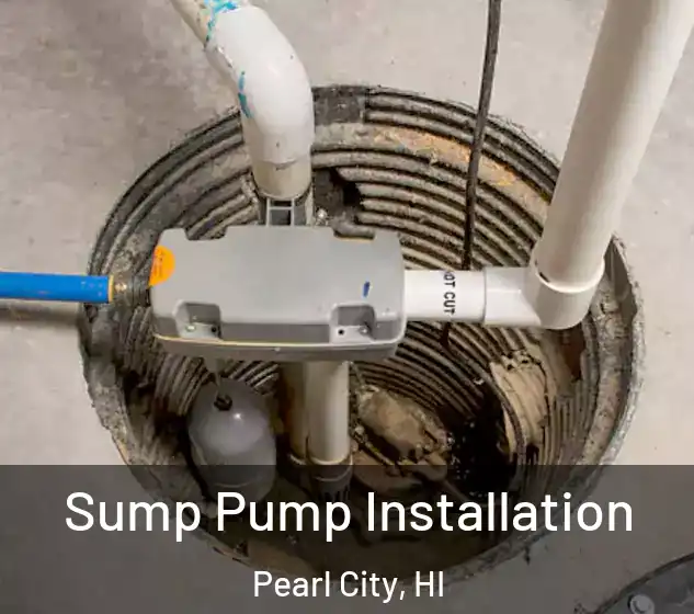  Sump Pump Installation Pearl City, HI