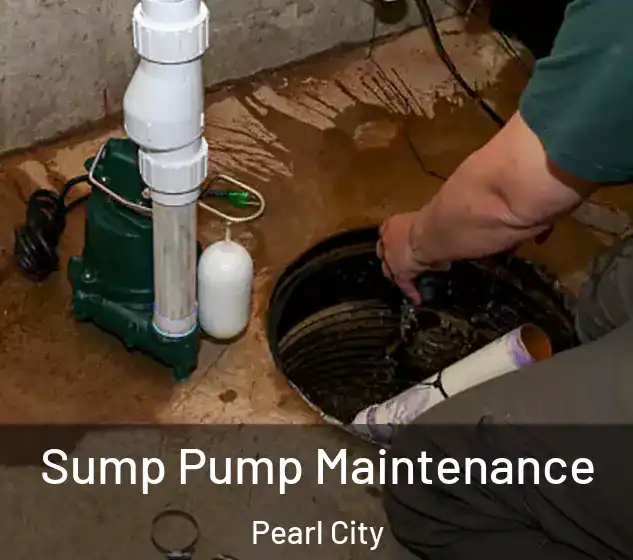  Sump Pump Maintenance Pearl City