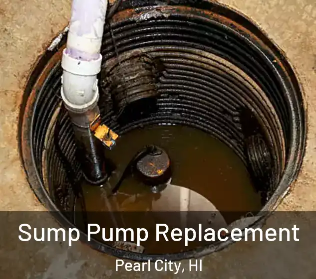  Sump Pump Replacement Pearl City, HI