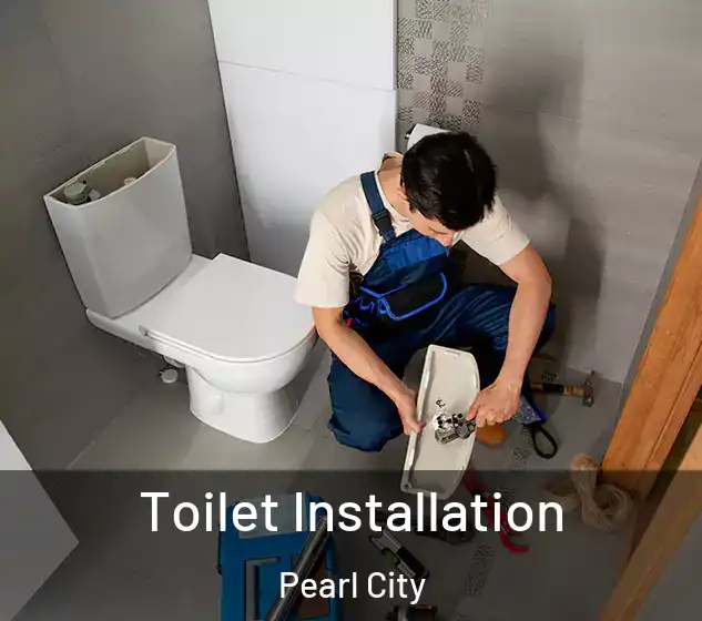  Toilet Installation Pearl City
