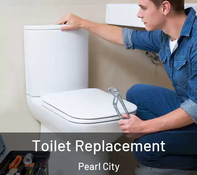 Toilet Replacement Pearl City