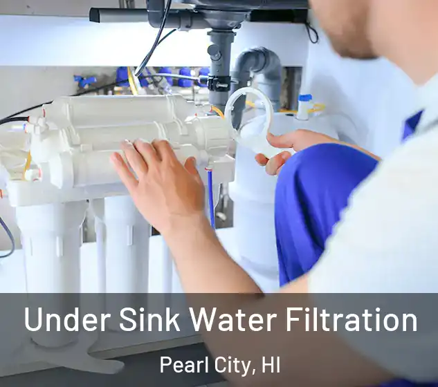  Under Sink Water Filtration Pearl City, HI