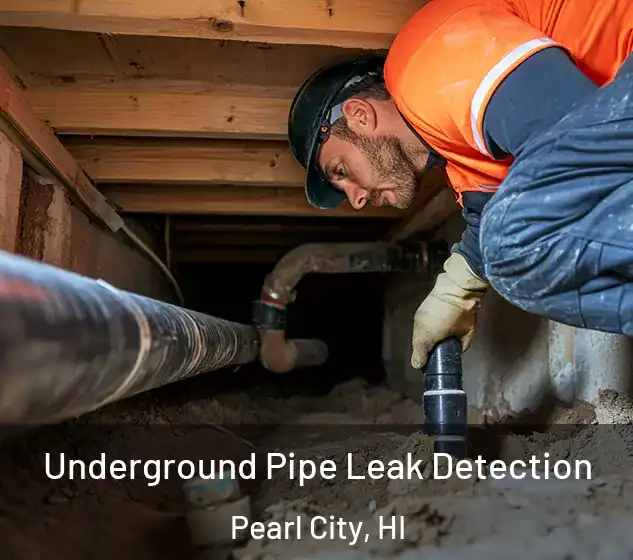  Underground Pipe Leak Detection Pearl City, HI