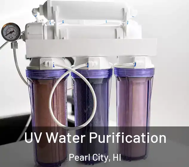  UV Water Purification Pearl City, HI