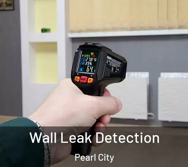  Wall Leak Detection Pearl City