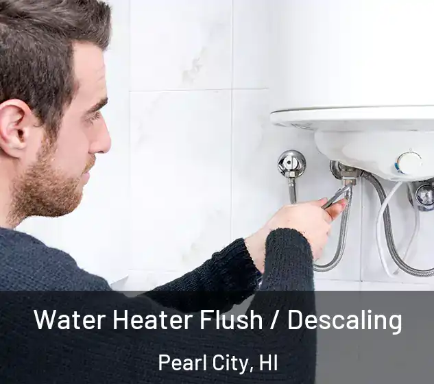  Water Heater Flush / Descaling Pearl City, HI