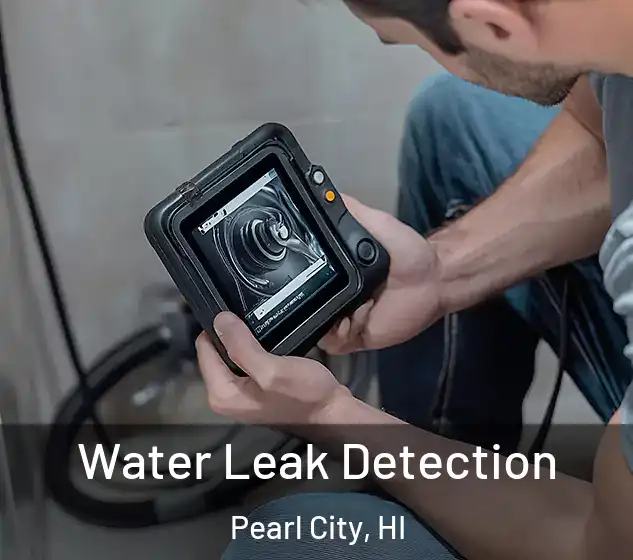 Water Leak Detection Pearl City, HI