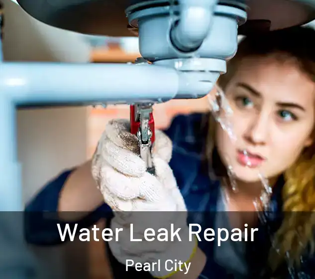  Water Leak Repair Pearl City