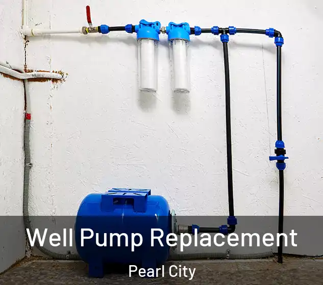  Well Pump Replacement Pearl City