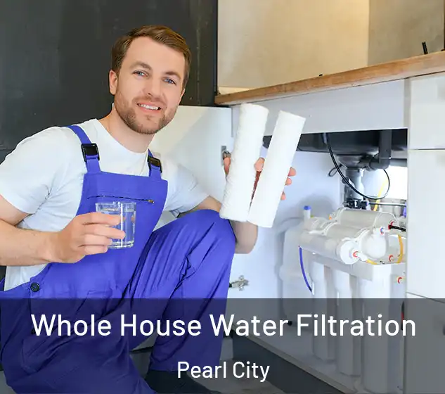  Whole House Water Filtration Pearl City